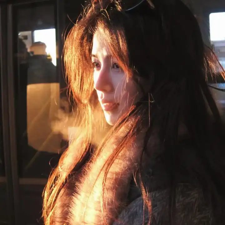 玫瑰骑士